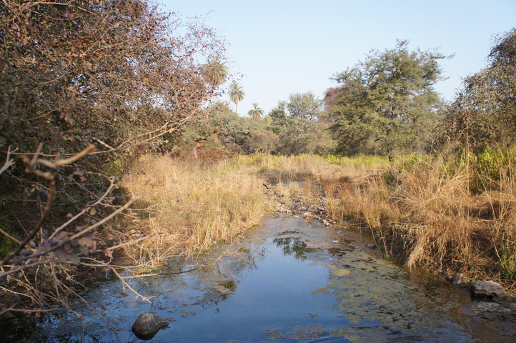 2013-01-14 08-47-26 SONY NEX-C3 DSC06979