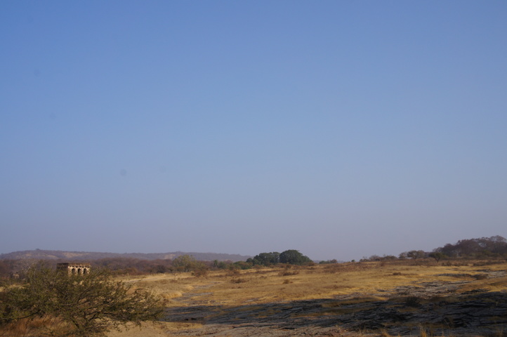 2013-01-14 08-51-10 SONY NEX-C3 DSC06980