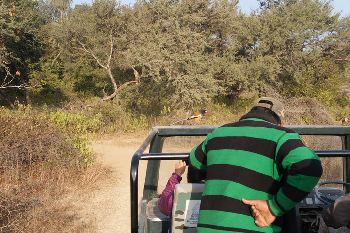 2013-01-14 08-51-40 SONY NEX-C3 DSC06985