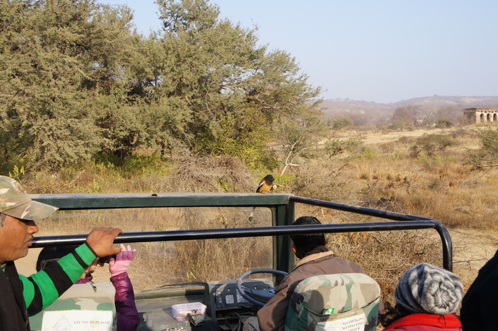 2013-01-14 08-51-43 SONY NEX-C3 DSC06986