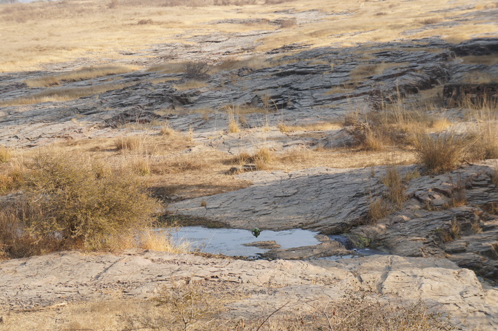 2013-01-14 08-52-31 SONY NEX-C3 DSC06989