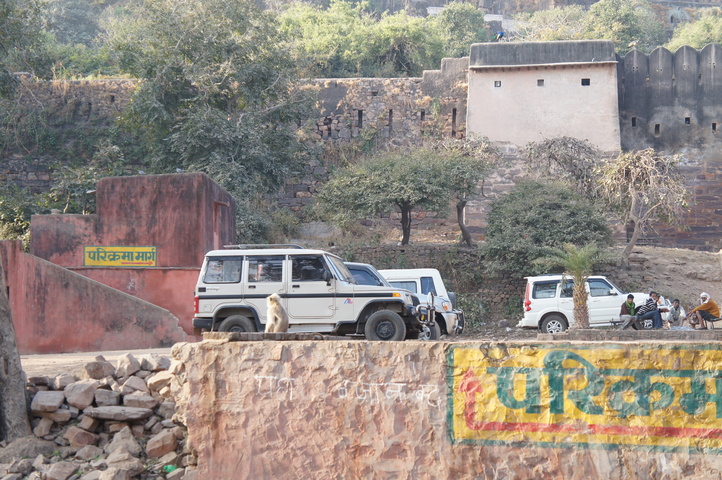 2013-01-14 08-55-48 SONY NEX-C3 DSC06992