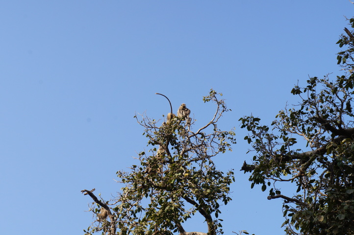 2013-01-14 08-56-50 SONY NEX-C3 DSC06999