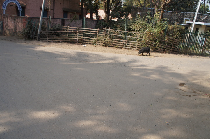 2013-01-14 10-25-57 SONY NEX-C3 DSC07012