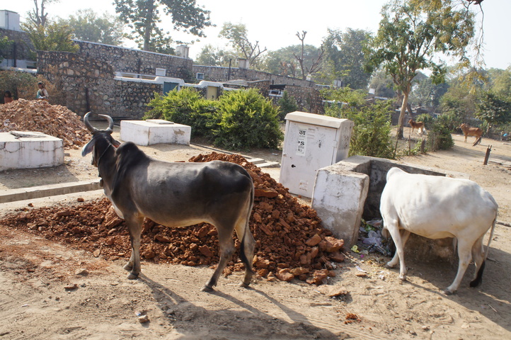 2013-01-14 10-26-33 SONY NEX-C3 DSC07019