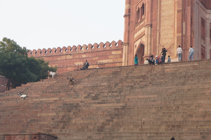 2013-01-14 16-57-53 SONY NEX-C3 DSC07109