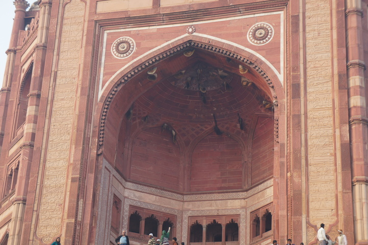 2013-01-14 16-58-13 SONY NEX-C3 DSC07110