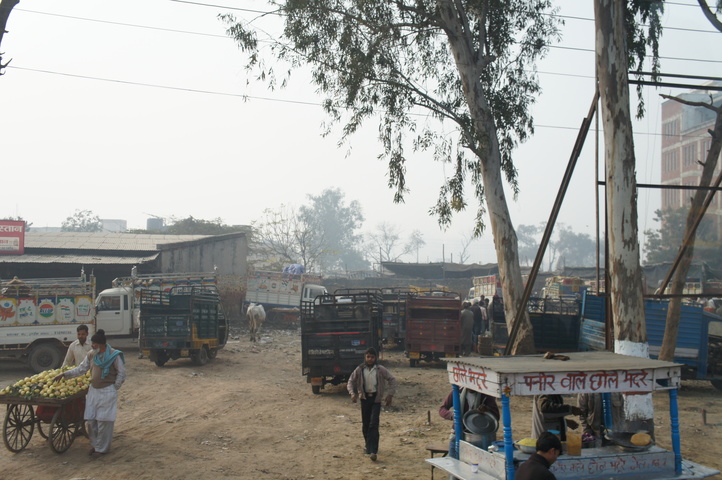 2013-01-15 09-54-23 SONY NEX-C3 DSC07189