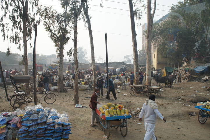 2013-01-15 09-54-30 SONY NEX-C3 DSC07190