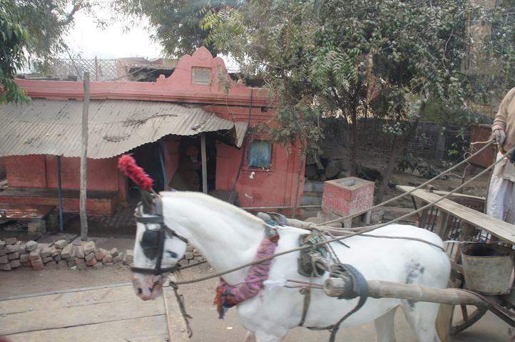 2013-01-15 09-55-28 SONY NEX-C3 DSC07198