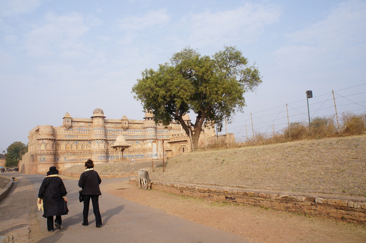 2013-01-15 15-21-24 SONY NEX-C3 DSC07244