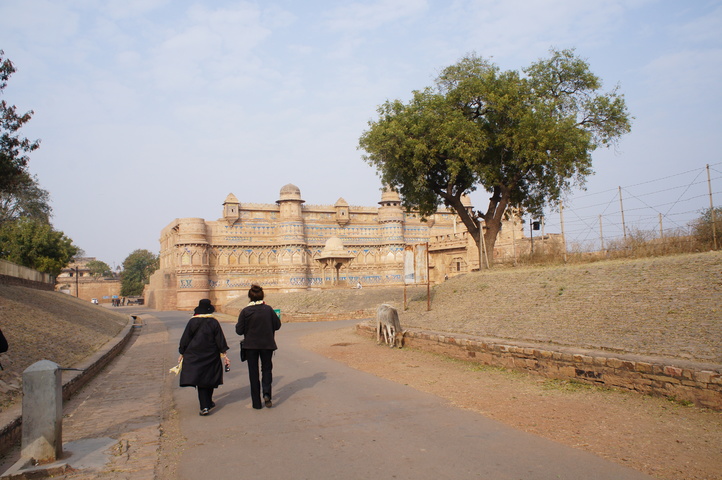 2013-01-15 15-21-25 SONY NEX-C3 DSC07245