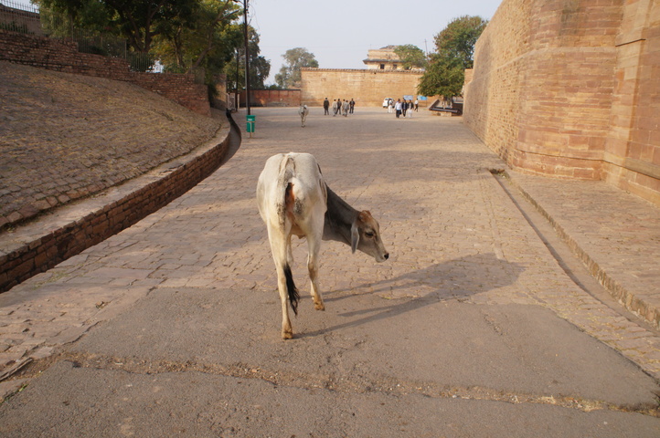 2013-01-15 15-33-24 SONY NEX-C3 DSC07268