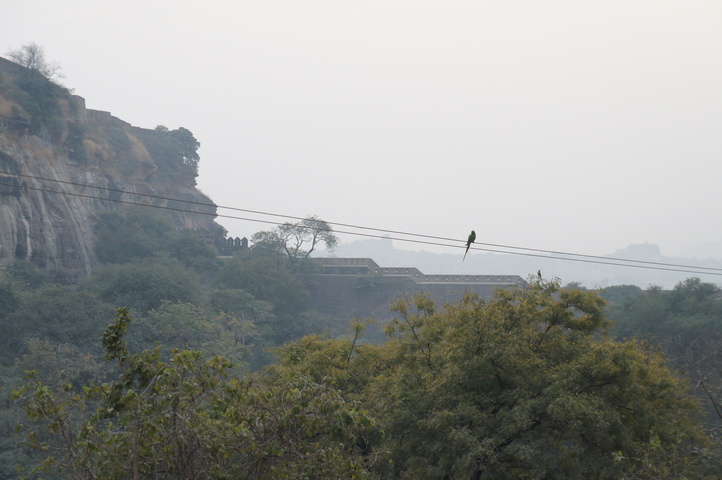 2013-01-15 17-35-49 SONY NEX-C3 DSC07370