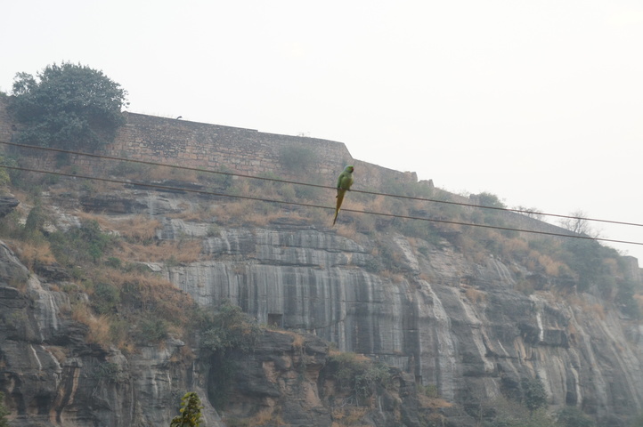 2013-01-15 17-36-13 SONY NEX-C3 DSC07372