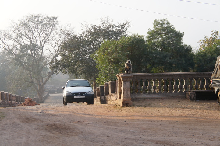 2013-01-16 08-22-57 SONY NEX-C3 DSC07475