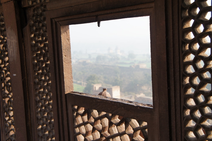 2013-01-16 08-58-39 SONY NEX-C3 DSC07517