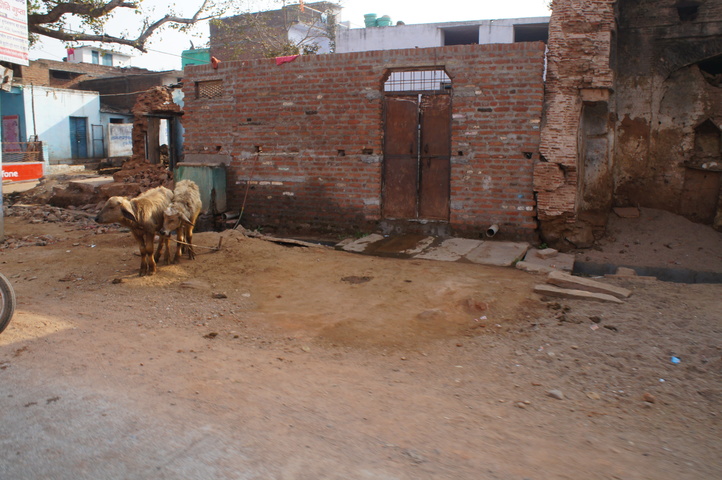 2013-01-16 09-31-29 SONY NEX-C3 DSC07559