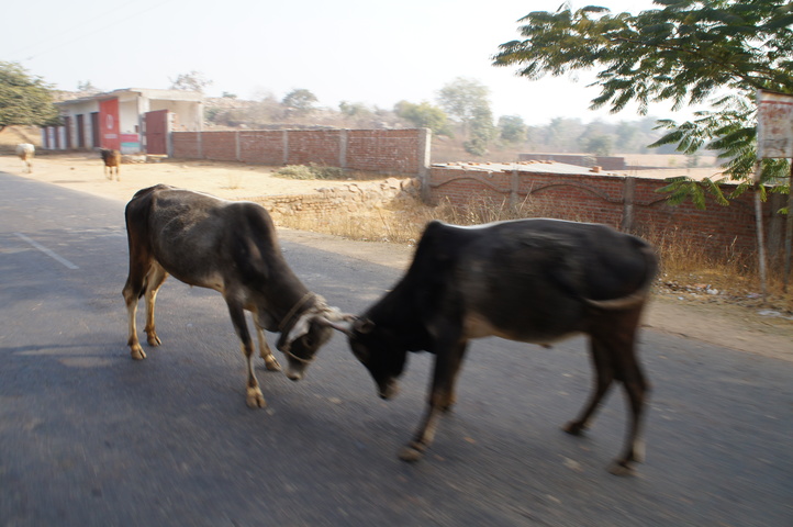 2013-01-16 09-33-54 SONY NEX-C3 DSC07563