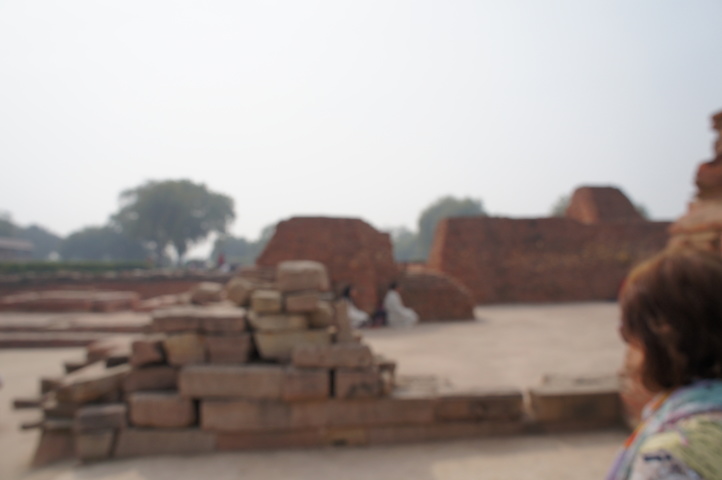 2013-01-17 11-04-44 SONY NEX-C3 DSC07695