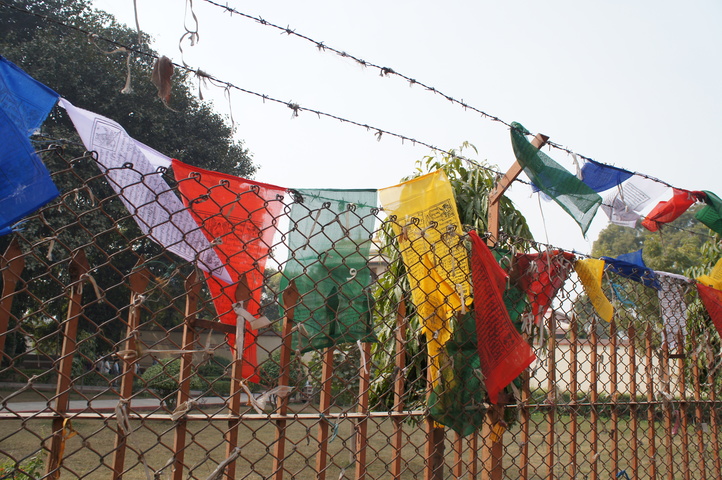 2013-01-17 11-18-23 SONY NEX-C3 DSC07702