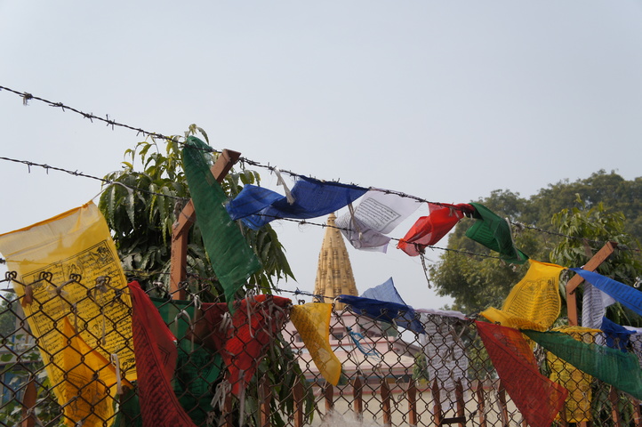 2013-01-17 11-18-29 SONY NEX-C3 DSC07703