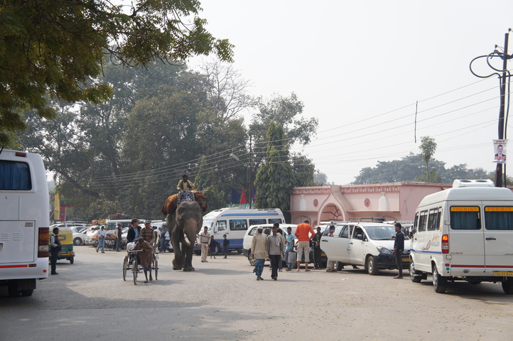 2013-01-17 11-28-53 SONY NEX-C3 DSC07705