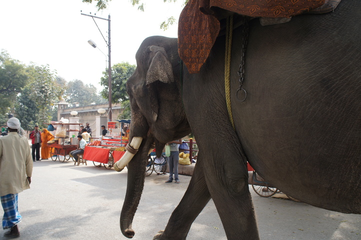 2013-01-17 11-29-48 SONY NEX-C3 DSC07706