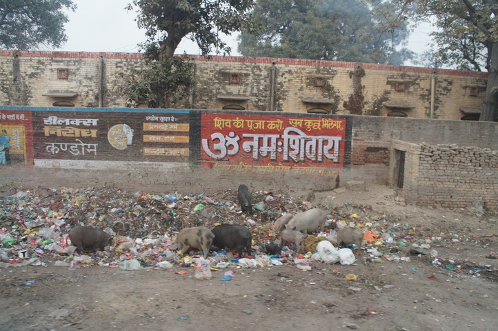 2013-01-17 17-15-51 SONY NEX-C3 DSC07734