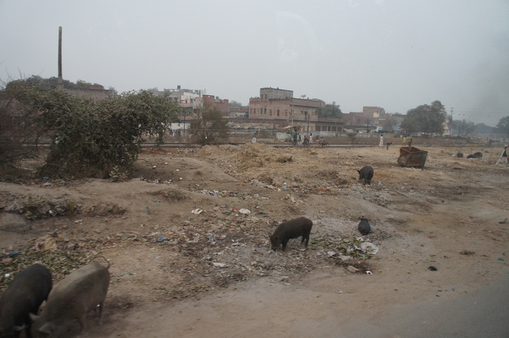 2013-01-17 17-16-41 SONY NEX-C3 DSC07742