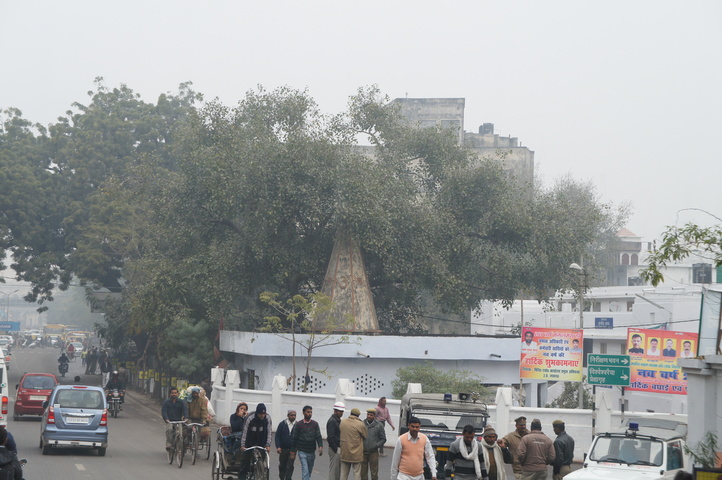 2013-01-18 10-22-55 SONY NEX-C3 DSC07937