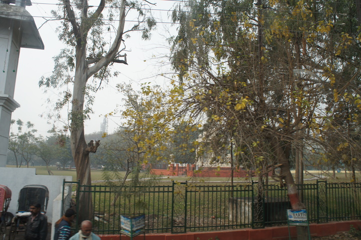 2013-01-18 10-31-04 SONY NEX-C3 DSC07947