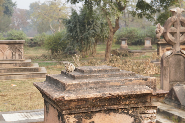 2013-01-18 11-07-56 SONY NEX-C3 DSC07961