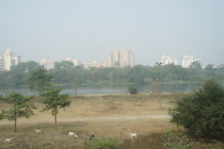 2013-01-18 13-14-53 SONY NEX-C3 DSC07982