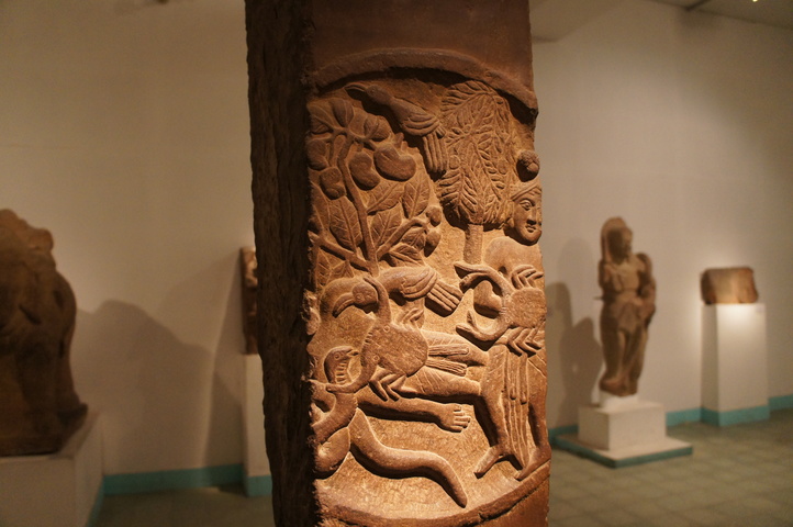 2013-01-20 11-36-09 SONY NEX-C3 DSC08074