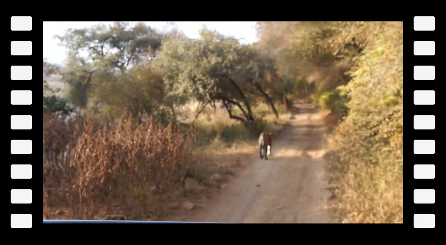 2013-01-14 08-29-32 SONY DSC M4H06961