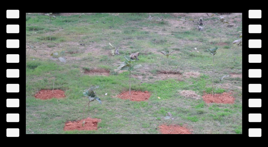 2013-01-16 16-49-44 SONY DSC M4H07639